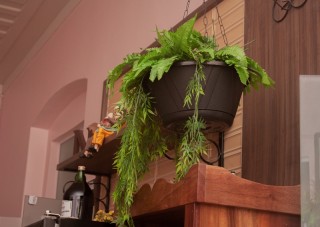 
<a style='margin-left: 5px;' class='btn btn-xs btn-social btn-facebook' href='https://www.facebook.com/sharer/sharer.php?u=https://galeramix.s01.web.getmuller.com.br/imagem/a109/800-800-90/conteudo/site_galerias/109/nona-cre-tijucas-jantar-dia-dos-namorados-galeramix-35.jpg' rel='popup' data-width='500' data-height='400'><i class='fa fa-facebook'></i>Compartilhar <span class='hidden-xs'>no Facebook</span>
</a> 
<a class='btn btn-default btn-xs' target='_blank' href='imagem/a109/800-800-90/conteudo/site_galerias/109/nona-cre-tijucas-jantar-dia-dos-namorados-galeramix-35.jpg'>
<span class='glyphicon glyphicon-cloud-download'></span> Salvar
</a>
