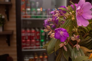 
<a style='margin-left: 5px;' class='btn btn-xs btn-social btn-facebook' href='https://www.facebook.com/sharer/sharer.php?u=https://galeramix.s01.web.getmuller.com.br/imagem/a109/800-800-90/conteudo/site_galerias/109/nona-cre-tijucas-jantar-dia-dos-namorados-galeramix-36.jpg' rel='popup' data-width='500' data-height='400'><i class='fa fa-facebook'></i>Compartilhar <span class='hidden-xs'>no Facebook</span>
</a> 
<a class='btn btn-default btn-xs' target='_blank' href='imagem/a109/800-800-90/conteudo/site_galerias/109/nona-cre-tijucas-jantar-dia-dos-namorados-galeramix-36.jpg'>
<span class='glyphicon glyphicon-cloud-download'></span> Salvar
</a>
