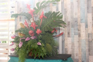 
<a style='margin-left: 5px;' class='btn btn-xs btn-social btn-facebook' href='https://www.facebook.com/sharer/sharer.php?u=https://galeramix.s01.web.getmuller.com.br/imagem/a129/800-800-90/conteudo/site_galerias/129/img0699.jpg' rel='popup' data-width='500' data-height='400'><i class='fa fa-facebook'></i>Compartilhar <span class='hidden-xs'>no Facebook</span>
</a> 
<a class='btn btn-default btn-xs' target='_blank' href='imagem/a129/800-800-90/conteudo/site_galerias/129/img0699.jpg'>
<span class='glyphicon glyphicon-cloud-download'></span> Salvar
</a>
