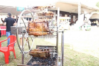 
<a style='margin-left: 5px;' class='btn btn-xs btn-social btn-facebook' href='https://www.facebook.com/sharer/sharer.php?u=https://galeramix.s01.web.getmuller.com.br/imagem/a163/800-800-90/conteudo/site_galerias/163/gustavo-lima-costelaco-junior-seco-galeramix-262.jpg' rel='popup' data-width='500' data-height='400'><i class='fa fa-facebook'></i>Compartilhar <span class='hidden-xs'>no Facebook</span>
</a> 
<a class='btn btn-default btn-xs' target='_blank' href='imagem/a163/800-800-90/conteudo/site_galerias/163/gustavo-lima-costelaco-junior-seco-galeramix-262.jpg'>
<span class='glyphicon glyphicon-cloud-download'></span> Salvar
</a>
