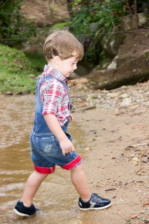 
                        <a style='margin-left: 5px;' class='btn btn-xs btn-social btn-facebook' href='https://www.facebook.com/sharer/sharer.php?u=https://galeramix.s01.web.getmuller.com.br/imagem/a27/800-800-90/conteudo/site_galerias/27/pi-134.jpg' rel='popup' data-width='500' data-height='400'><i class='fa fa-facebook'></i>Compartilhar <span class='hidden-xs'>no Facebook</span>
                    </a> 
                    <a class='btn btn-default btn-xs' target='_blank' href='imagem/a27/800-800-90/conteudo/site_galerias/27/pi-134.jpg'>
                        <span class='glyphicon glyphicon-cloud-download'></span> Salvar
                    </a>
                    