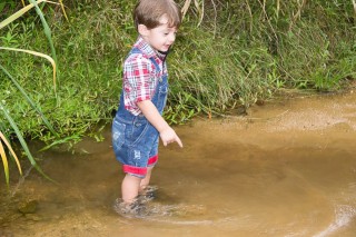 
                    <a style='margin-left: 5px;' class='btn btn-xs btn-social btn-facebook' href='https://www.facebook.com/sharer/sharer.php?u=https://galeramix.s01.web.getmuller.com.br/imagem/a27/800-800-90/conteudo/site_galerias/27/pi-142.jpg' rel='popup' data-width='500' data-height='400'><i class='fa fa-facebook'></i>Compartilhar <span class='hidden-xs'>no Facebook</span>
                </a> 
                <a class='btn btn-default btn-xs' target='_blank' href='imagem/a27/800-800-90/conteudo/site_galerias/27/pi-142.jpg'>
                    <span class='glyphicon glyphicon-cloud-download'></span> Salvar
                </a>
                