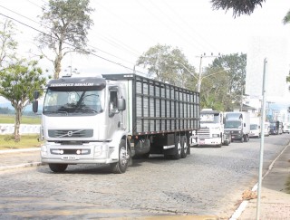 
<a style='margin-left: 5px;' class='btn btn-xs btn-social btn-facebook' href='https://www.facebook.com/sharer/sharer.php?u=https://galeramix.s01.web.getmuller.com.br/imagem/a33/800-800-90/conteudo/site_galerias/33/caminhoneiro-88.jpg' rel='popup' data-width='500' data-height='400'><i class='fa fa-facebook'></i>Compartilhar <span class='hidden-xs'>no Facebook</span>
</a> 
<a class='btn btn-default btn-xs' target='_blank' href='imagem/a33/800-800-90/conteudo/site_galerias/33/caminhoneiro-88.jpg'>
<span class='glyphicon glyphicon-cloud-download'></span> Salvar
</a>
