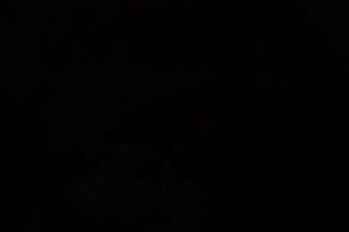 
                                    <a style='margin-left: 5px;' class='btn btn-xs btn-social btn-facebook' href='https://www.facebook.com/sharer/sharer.php?u=https://galeramix.s01.web.getmuller.com.br/imagem/a55/800-800-90/conteudo/site_galerias/55/img8380.jpg' rel='popup' data-width='500' data-height='400'><i class='fa fa-facebook'></i>Compartilhar <span class='hidden-xs'>no Facebook</span>
                                </a> 
                                <a class='btn btn-default btn-xs' target='_blank' href='imagem/a55/800-800-90/conteudo/site_galerias/55/img8380.jpg'>
                                    <span class='glyphicon glyphicon-cloud-download'></span> Salvar
                                </a>
                                