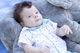 
                <a style='margin-left: 5px;' class='btn btn-xs btn-social btn-facebook' href='https://www.facebook.com/sharer/sharer.php?u=https://galeramix.s01.web.getmuller.com.br/imagem/a7/800-800-90/conteudo/site_galerias/7/benjamin-2-meses-17.jpg' rel='popup' data-width='500' data-height='400'><i class='fa fa-facebook'></i>Compartilhar <span class='hidden-xs'>no Facebook</span>
            </a> 
            <a class='btn btn-default btn-xs' target='_blank' href='imagem/a7/800-800-90/conteudo/site_galerias/7/benjamin-2-meses-17.jpg'>
                <span class='glyphicon glyphicon-cloud-download'></span> Salvar
            </a>
            