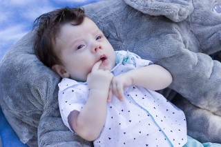 
            <a style='margin-left: 5px;' class='btn btn-xs btn-social btn-facebook' href='https://www.facebook.com/sharer/sharer.php?u=https://galeramix.s01.web.getmuller.com.br/imagem/a7/800-800-90/conteudo/site_galerias/7/benjamin-2-meses-18.jpg' rel='popup' data-width='500' data-height='400'><i class='fa fa-facebook'></i>Compartilhar <span class='hidden-xs'>no Facebook</span>
        </a> 
        <a class='btn btn-default btn-xs' target='_blank' href='imagem/a7/800-800-90/conteudo/site_galerias/7/benjamin-2-meses-18.jpg'>
            <span class='glyphicon glyphicon-cloud-download'></span> Salvar
        </a>
        