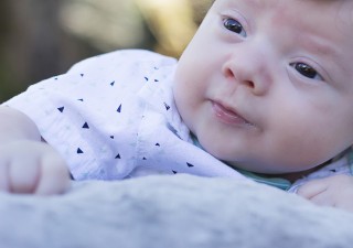 
    <a style='margin-left: 5px;' class='btn btn-xs btn-social btn-facebook' href='https://www.facebook.com/sharer/sharer.php?u=https://galeramix.s01.web.getmuller.com.br/imagem/a7/800-800-90/conteudo/site_galerias/7/benjamin-2-meses-2.jpg' rel='popup' data-width='500' data-height='400'><i class='fa fa-facebook'></i>Compartilhar <span class='hidden-xs'>no Facebook</span>
</a> 
<a class='btn btn-default btn-xs' target='_blank' href='imagem/a7/800-800-90/conteudo/site_galerias/7/benjamin-2-meses-2.jpg'>
    <span class='glyphicon glyphicon-cloud-download'></span> Salvar
</a>
