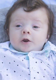 
<a style='margin-left: 5px;' class='btn btn-xs btn-social btn-facebook' href='https://www.facebook.com/sharer/sharer.php?u=https://galeramix.s01.web.getmuller.com.br/imagem/a7/800-800-90/conteudo/site_galerias/7/benjamin-2-meses-46.jpg' rel='popup' data-width='500' data-height='400'><i class='fa fa-facebook'></i>Compartilhar <span class='hidden-xs'>no Facebook</span>
</a> 
<a class='btn btn-default btn-xs' target='_blank' href='imagem/a7/800-800-90/conteudo/site_galerias/7/benjamin-2-meses-46.jpg'>
<span class='glyphicon glyphicon-cloud-download'></span> Salvar
</a>
