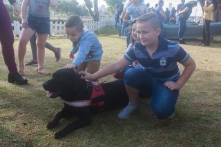 
<a style='margin-left: 5px;' class='btn btn-xs btn-social btn-facebook' href='https://www.facebook.com/sharer/sharer.php?u=https://galeramix.s01.web.getmuller.com.br/imagem/a77/800-800-90/conteudo/site_galerias/77/aniversario-de-tijucas-galera-mix-casarao-gallotti-128.jpg' rel='popup' data-width='500' data-height='400'><i class='fa fa-facebook'></i>Compartilhar <span class='hidden-xs'>no Facebook</span>
</a> 
<a class='btn btn-default btn-xs' target='_blank' href='imagem/a77/800-800-90/conteudo/site_galerias/77/aniversario-de-tijucas-galera-mix-casarao-gallotti-128.jpg'>
<span class='glyphicon glyphicon-cloud-download'></span> Salvar
</a>
