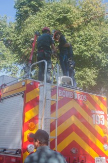 
<a style='margin-left: 5px;' class='btn btn-xs btn-social btn-facebook' href='https://www.facebook.com/sharer/sharer.php?u=https://galeramix.s01.web.getmuller.com.br/imagem/a77/800-800-90/conteudo/site_galerias/77/aniversario-de-tijucas-galera-mix-casarao-gallotti-4.jpg' rel='popup' data-width='500' data-height='400'><i class='fa fa-facebook'></i>Compartilhar <span class='hidden-xs'>no Facebook</span>
</a> 
<a class='btn btn-default btn-xs' target='_blank' href='imagem/a77/800-800-90/conteudo/site_galerias/77/aniversario-de-tijucas-galera-mix-casarao-gallotti-4.jpg'>
<span class='glyphicon glyphicon-cloud-download'></span> Salvar
</a>
