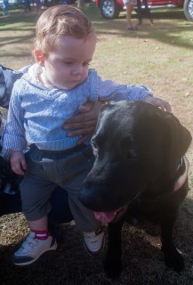 
<a style='margin-left: 5px;' class='btn btn-xs btn-social btn-facebook' href='https://www.facebook.com/sharer/sharer.php?u=https://galeramix.s01.web.getmuller.com.br/imagem/a77/800-800-90/conteudo/site_galerias/77/aniversario-de-tijucas-galera-mix-casarao-gallotti-64.jpg' rel='popup' data-width='500' data-height='400'><i class='fa fa-facebook'></i>Compartilhar <span class='hidden-xs'>no Facebook</span>
</a> 
<a class='btn btn-default btn-xs' target='_blank' href='imagem/a77/800-800-90/conteudo/site_galerias/77/aniversario-de-tijucas-galera-mix-casarao-gallotti-64.jpg'>
<span class='glyphicon glyphicon-cloud-download'></span> Salvar
</a>
