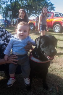 
<a style='margin-left: 5px;' class='btn btn-xs btn-social btn-facebook' href='https://www.facebook.com/sharer/sharer.php?u=https://galeramix.s01.web.getmuller.com.br/imagem/a77/800-800-90/conteudo/site_galerias/77/aniversario-de-tijucas-galera-mix-casarao-gallotti-65.jpg' rel='popup' data-width='500' data-height='400'><i class='fa fa-facebook'></i>Compartilhar <span class='hidden-xs'>no Facebook</span>
</a> 
<a class='btn btn-default btn-xs' target='_blank' href='imagem/a77/800-800-90/conteudo/site_galerias/77/aniversario-de-tijucas-galera-mix-casarao-gallotti-65.jpg'>
<span class='glyphicon glyphicon-cloud-download'></span> Salvar
</a>
