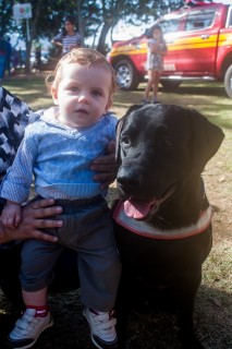 
<a style='margin-left: 5px;' class='btn btn-xs btn-social btn-facebook' href='https://www.facebook.com/sharer/sharer.php?u=https://galeramix.s01.web.getmuller.com.br/imagem/a77/800-800-90/conteudo/site_galerias/77/aniversario-de-tijucas-galera-mix-casarao-gallotti-66.jpg' rel='popup' data-width='500' data-height='400'><i class='fa fa-facebook'></i>Compartilhar <span class='hidden-xs'>no Facebook</span>
</a> 
<a class='btn btn-default btn-xs' target='_blank' href='imagem/a77/800-800-90/conteudo/site_galerias/77/aniversario-de-tijucas-galera-mix-casarao-gallotti-66.jpg'>
<span class='glyphicon glyphicon-cloud-download'></span> Salvar
</a>
