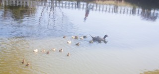 
<a style='margin-left: 5px;' class='btn btn-xs btn-social btn-facebook' href='https://www.facebook.com/sharer/sharer.php?u=https://galeramix.s01.web.getmuller.com.br/imagem/a77/800-800-90/conteudo/site_galerias/77/aniversario-de-tijucas-galera-mix-casarao-gallotti-67.jpg' rel='popup' data-width='500' data-height='400'><i class='fa fa-facebook'></i>Compartilhar <span class='hidden-xs'>no Facebook</span>
</a> 
<a class='btn btn-default btn-xs' target='_blank' href='imagem/a77/800-800-90/conteudo/site_galerias/77/aniversario-de-tijucas-galera-mix-casarao-gallotti-67.jpg'>
<span class='glyphicon glyphicon-cloud-download'></span> Salvar
</a>
