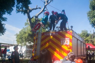 
<a style='margin-left: 5px;' class='btn btn-xs btn-social btn-facebook' href='https://www.facebook.com/sharer/sharer.php?u=https://galeramix.s01.web.getmuller.com.br/imagem/a77/800-800-90/conteudo/site_galerias/77/aniversario-de-tijucas-galera-mix-casarao-gallotti-7.jpg' rel='popup' data-width='500' data-height='400'><i class='fa fa-facebook'></i>Compartilhar <span class='hidden-xs'>no Facebook</span>
</a> 
<a class='btn btn-default btn-xs' target='_blank' href='imagem/a77/800-800-90/conteudo/site_galerias/77/aniversario-de-tijucas-galera-mix-casarao-gallotti-7.jpg'>
<span class='glyphicon glyphicon-cloud-download'></span> Salvar
</a>
