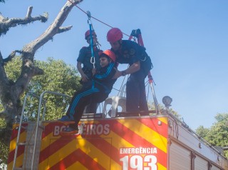 
<a style='margin-left: 5px;' class='btn btn-xs btn-social btn-facebook' href='https://www.facebook.com/sharer/sharer.php?u=https://galeramix.s01.web.getmuller.com.br/imagem/a77/800-800-90/conteudo/site_galerias/77/aniversario-de-tijucas-galera-mix-casarao-gallotti-8.jpg' rel='popup' data-width='500' data-height='400'><i class='fa fa-facebook'></i>Compartilhar <span class='hidden-xs'>no Facebook</span>
</a> 
<a class='btn btn-default btn-xs' target='_blank' href='imagem/a77/800-800-90/conteudo/site_galerias/77/aniversario-de-tijucas-galera-mix-casarao-gallotti-8.jpg'>
<span class='glyphicon glyphicon-cloud-download'></span> Salvar
</a>
